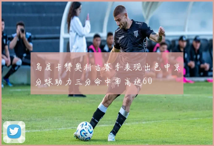 乌度卡赞奥科吉赛季表现出色申京分球助力三分命中率高达60