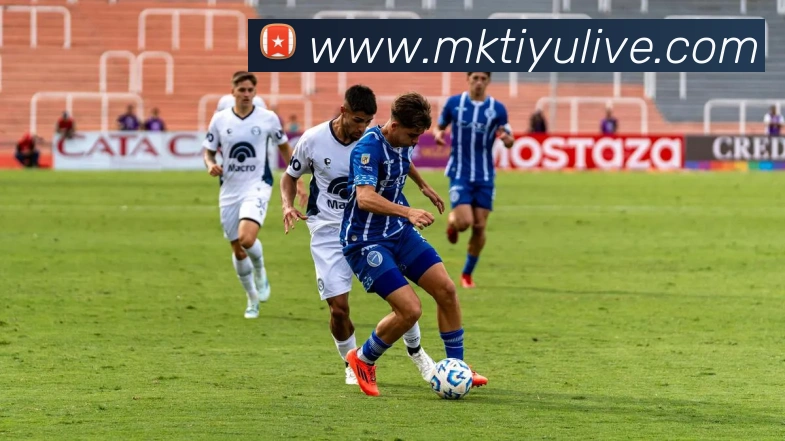 App Interface Preview