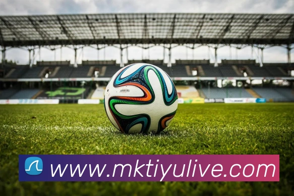 MK体育APP 封面图