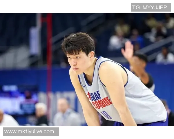杨瀚森即将加盟孟菲斯球队G联盟期间将迎更多出场机会